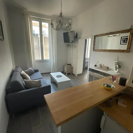 Appartement 1 Chambre, Zone Semi Piétonne -tol-