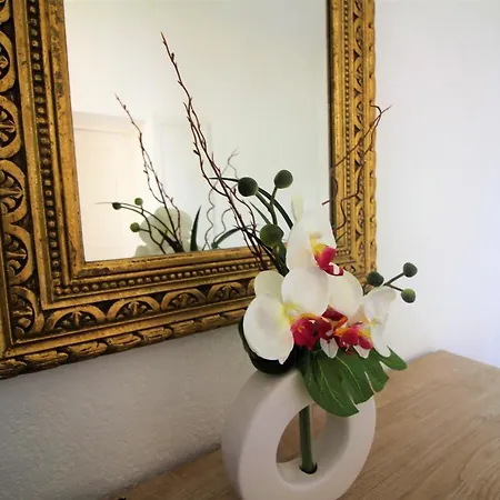 1 Chambre, Zone Semi Piétonne -tol- Appartement